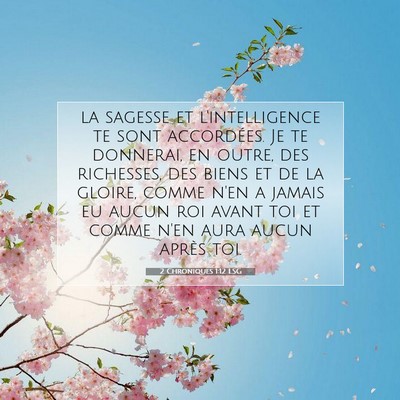 Picture 07 - 2 Chroniques 1:12 LSG - la sagesse et l'intelligence te sont accordées. - Bible Verse Picture