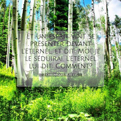 Picture 07 - 2 Chroniques 18:20 LSG - Et un esprit vint se présenter devant l'Eternel, - Bible Verse Picture