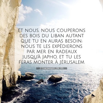 Picture 07 - 2 Chroniques 2:16 LSG - Et nous, nous couperons des bois du Liban autant - Bible Verse Picture