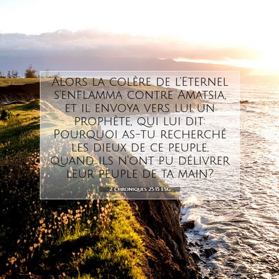 Picture 07 - 2 Chroniques 25:15 LSG - Alors la colère de l'Eternel s'enflamma contre - Bible Verse Picture