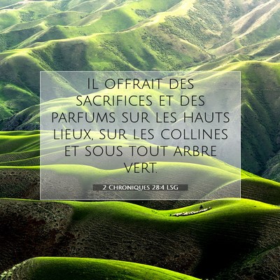 Picture 07 - 2 Chroniques 28:4 LSG - Il offrait des sacrifices et des parfums sur les - Bible Verse Picture