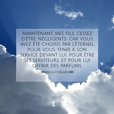 Picture 07 - 2 Chroniques 29:11 LSG - Maintenant, mes fils, cessez d'être négligents; - Bible Verse Picture