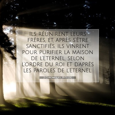 Picture 07 - 2 Chroniques 29:15 LSG - Ils réunirent leurs frères, et, après s'être - Bible Verse Picture
