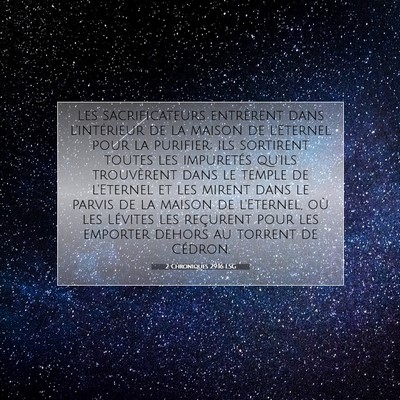 Picture 07 - 2 Chroniques 29:16 LSG - Les sacrificateurs entrèrent dans l'intérieur - Bible Verse Picture