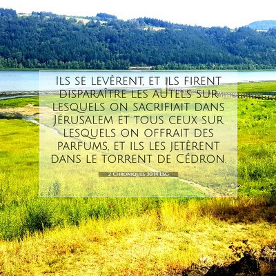 Picture 07 - 2 Chroniques 30:14 LSG - Ils se levèrent, et ils firent disparaître les - Bible Verse Picture
