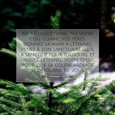 Picture 07 - 2 Chroniques 30:8 LSG - Ne raidissez donc pas votre cou, comme vos - Bible Verse Picture