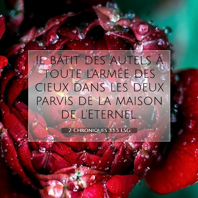 Picture 07 - 2 Chroniques 33:5 LSG - Il bâtit des autels à toute l'armée des cieux - Bible Verse Picture