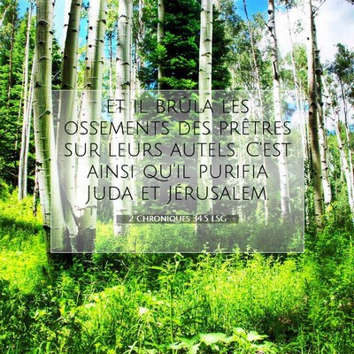 Picture 07 - 2 Chroniques 34:5 LSG - et il brûla les ossements des prêtres sur leurs - Bible Verse Picture