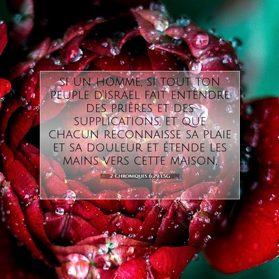 Picture 07 - 2 Chroniques 6:29 LSG - si un homme, si tout ton peuple d'Israël fait - Bible Verse Picture