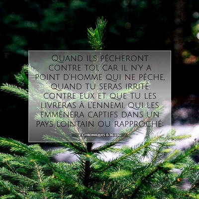 Picture 07 - 2 Chroniques 6:36 LSG - Quand ils pécheront contre toi, car il n'y a - Bible Verse Picture