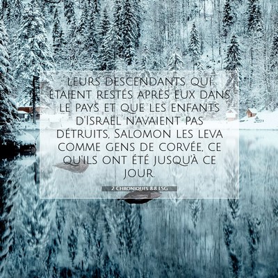 Picture 07 - 2 Chroniques 8:8 LSG - leurs descendants qui étaient restés après eux - Bible Verse Picture