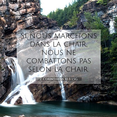Picture 07 - 2 Corinthiens 10:3 LSG - Si nous marchons dans la chair, nous ne - Bible Verse Picture