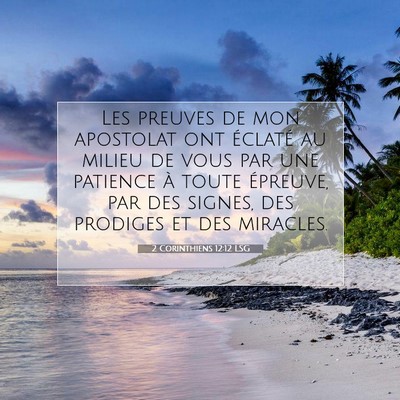 Picture 07 - 2 Corinthiens 12:12 LSG - Les preuves de mon apostolat ont éclaté au - Bible Verse Picture