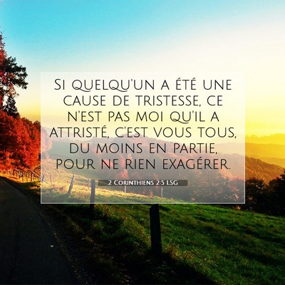 Picture 07 - 2 Corinthiens 2:5 LSG - Si quelqu'un a été une cause de tristesse, ce - Bible Verse Picture