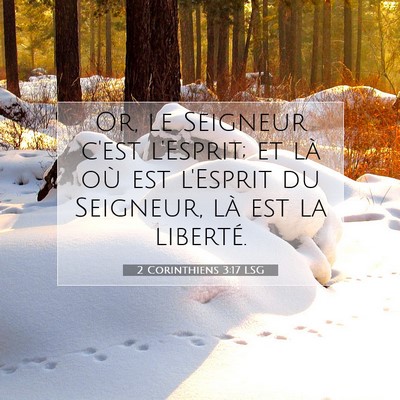 Picture 07 - 2 Corinthiens 3:17 LSG - Or, le Seigneur c'est l'Esprit; et là où est - Bible Verse Picture