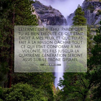 Picture 07 - 2 Rois 10:30 LSG - L'Eternel dit à Jéhu: Parce que tu as bien - Bible Verse Picture