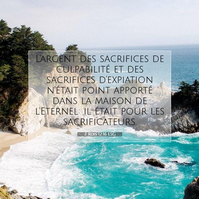 Picture 07 - 2 Rois 12:16 LSG - L'argent des sacrifices de culpabilité et des - Bible Verse Picture