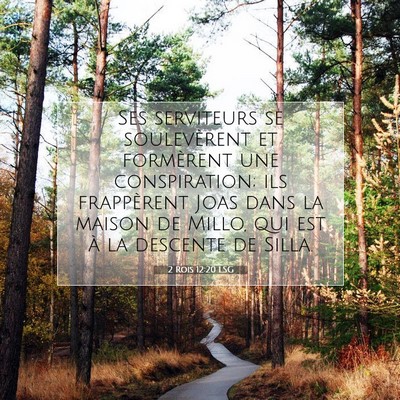 Picture 07 - 2 Rois 12:20 LSG - Ses serviteurs se soulevèrent et formèrent une - Bible Verse Picture