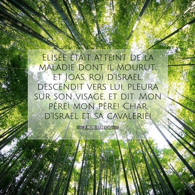 Picture 07 - 2 Rois 13:14 LSG - Elisée était atteint de la maladie dont il - Bible Verse Picture