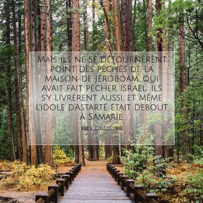 Picture 07 - 2 Rois 13:6 LSG - Mais ils ne se détournèrent point des péchés - Bible Verse Picture