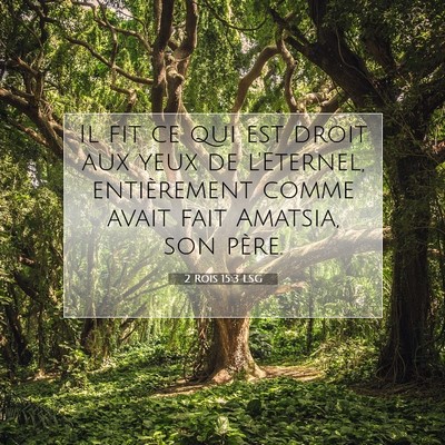 Picture 07 - 2 Rois 15:3 LSG - Il fit ce qui est droit aux yeux de l'Eternel, - Bible Verse Picture