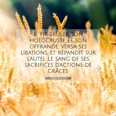 Picture 07 - 2 Rois 16:13 LSG - il fit brûler son holocauste et son offrande, - Bible Verse Picture