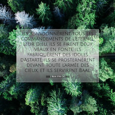 Picture 07 - 2 Rois 17:16 LSG - Ils abandonnèrent tous les commandements de - Bible Verse Picture