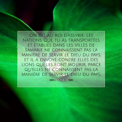 Picture 07 - 2 Rois 17:26 LSG - On dit au roi d'Assyrie: Les nations que tu as - Bible Verse Picture