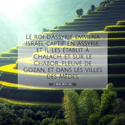 Picture 07 - 2 Rois 18:11 LSG - Le roi d'Assyrie emmena Israël captif en - Bible Verse Picture