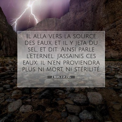 Picture 07 - 2 Rois 2:21 LSG - Il alla vers la source des eaux, et il y jeta du - Bible Verse Picture
