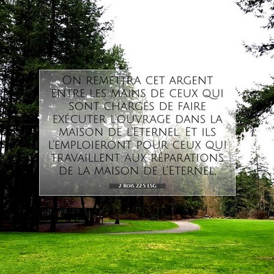 Picture 07 - 2 Rois 22:5 LSG - On remettra cet argent entre les mains de ceux - Bible Verse Picture