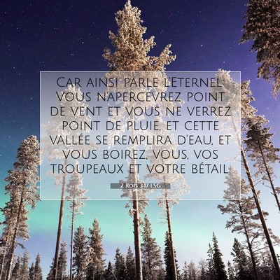 Picture 07 - 2 Rois 3:17 LSG - Car ainsi parle l'Eternel: Vous n'apercevrez - Bible Verse Picture