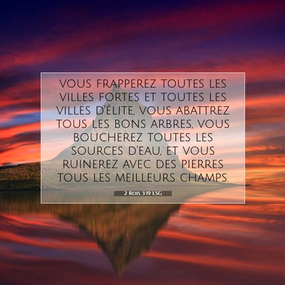 Picture 07 - 2 Rois 3:19 LSG - vous frapperez toutes les villes fortes et toutes - Bible Verse Picture