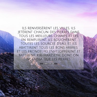 Picture 07 - 2 Rois 3:25 LSG - Ils renversèrent les villes, ils jetèrent - Bible Verse Picture