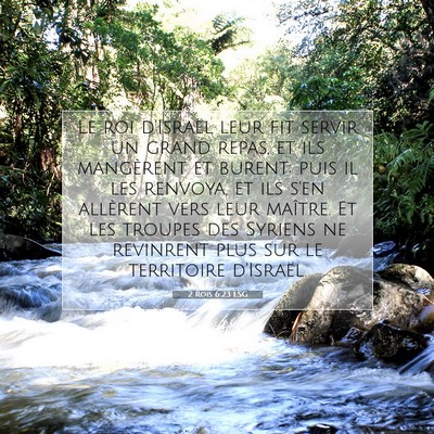Picture 07 - 2 Rois 6:23 LSG - Le roi d'Israël leur fit servir un grand repas, - Bible Verse Picture