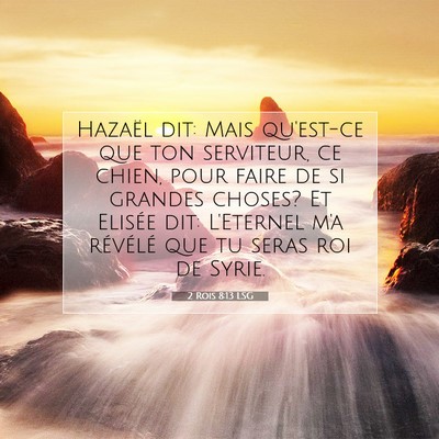 Picture 07 - 2 Rois 8:13 LSG - Hazaël dit: Mais qu'est-ce que ton serviteur, ce - Bible Verse Picture