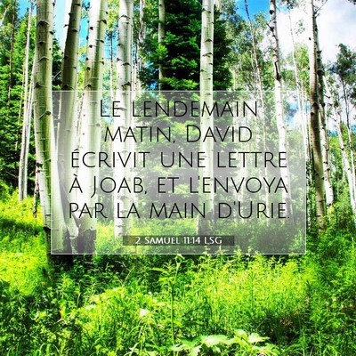 Picture 07 - 2 Samuel 11:14 LSG - Le lendemain matin, David écrivit une lettre à - Bible Verse Picture