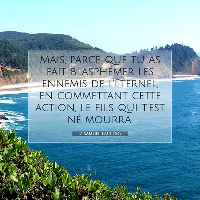 Picture 07 - 2 Samuel 12:14 LSG - Mais, parce que tu as fait blasphémer les - Bible Verse Picture