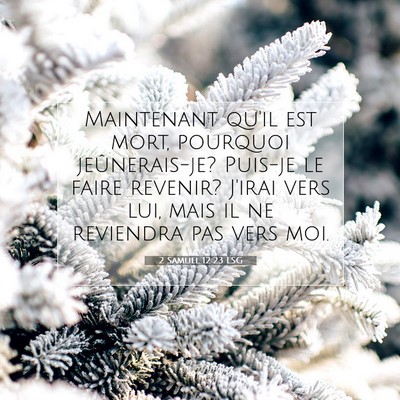 Picture 07 - 2 Samuel 12:23 LSG - Maintenant qu'il est mort, pourquoi - Bible Verse Picture