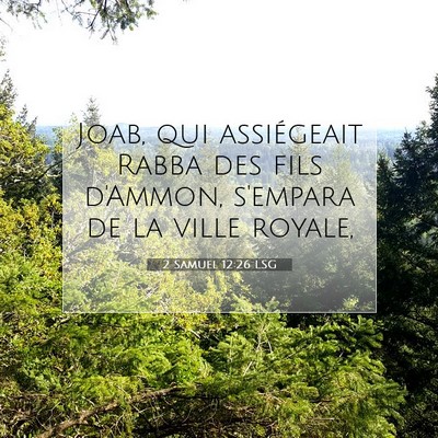 Picture 07 - 2 Samuel 12:26 LSG - Joab, qui assiégeait Rabba des fils d'Ammon, - Bible Verse Picture