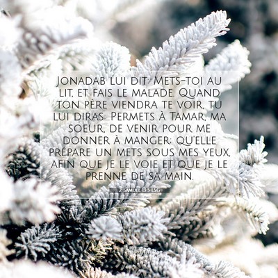 Picture 07 - 2 Samuel 13:5 LSG - Jonadab lui dit: Mets-toi au lit, et fais le - Bible Verse Picture