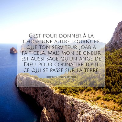 Picture 07 - 2 Samuel 14:20 LSG - C'est pour donner à la chose une autre tournure - Bible Verse Picture