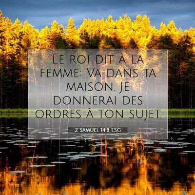 Picture 07 - 2 Samuel 14:8 LSG - Le roi dit à la femme: Va dans ta maison. Je - Bible Verse Picture