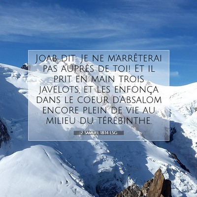 Picture 07 - 2 Samuel 18:14 LSG - Joab dit: Je ne m'arrêterai pas auprès de toi! - Bible Verse Picture