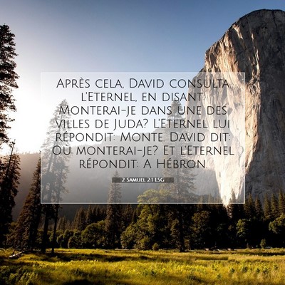 Picture 07 - 2 Samuel 2:1 LSG - Après cela, David consulta l'Eternel, en disant: - Bible Verse Picture