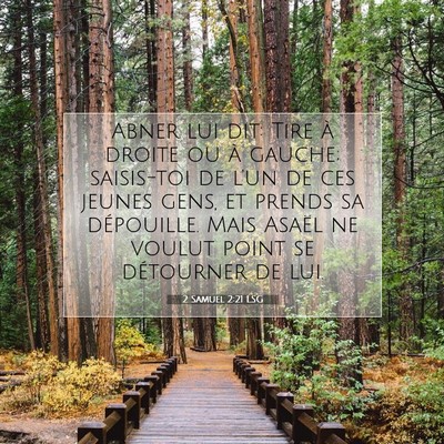Picture 07 - 2 Samuel 2:21 LSG - Abner lui dit: Tire à droite ou à gauche; - Bible Verse Picture