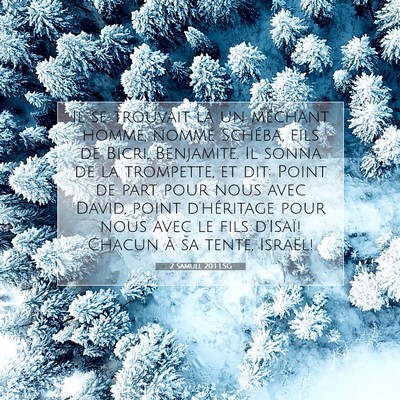 Picture 07 - 2 Samuel 20:1 LSG - Il se trouvait là un méchant homme, nommé - Bible Verse Picture