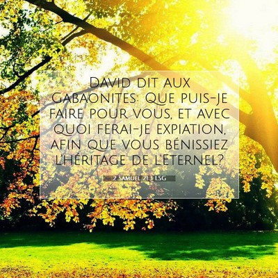 Picture 07 - 2 Samuel 21:3 LSG - David dit aux Gabaonites: Que puis-je faire pour - Bible Verse Picture