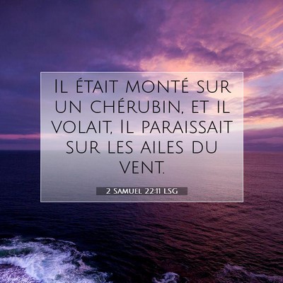 Picture 07 - 2 Samuel 22:11 LSG - Il était monté sur un chérubin, et il volait, - Bible Verse Picture