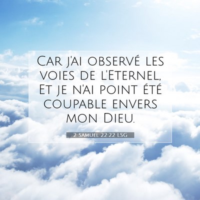 Picture 07 - 2 Samuel 22:22 LSG - Car j'ai observé les voies de l'Eternel, Et je - Bible Verse Picture